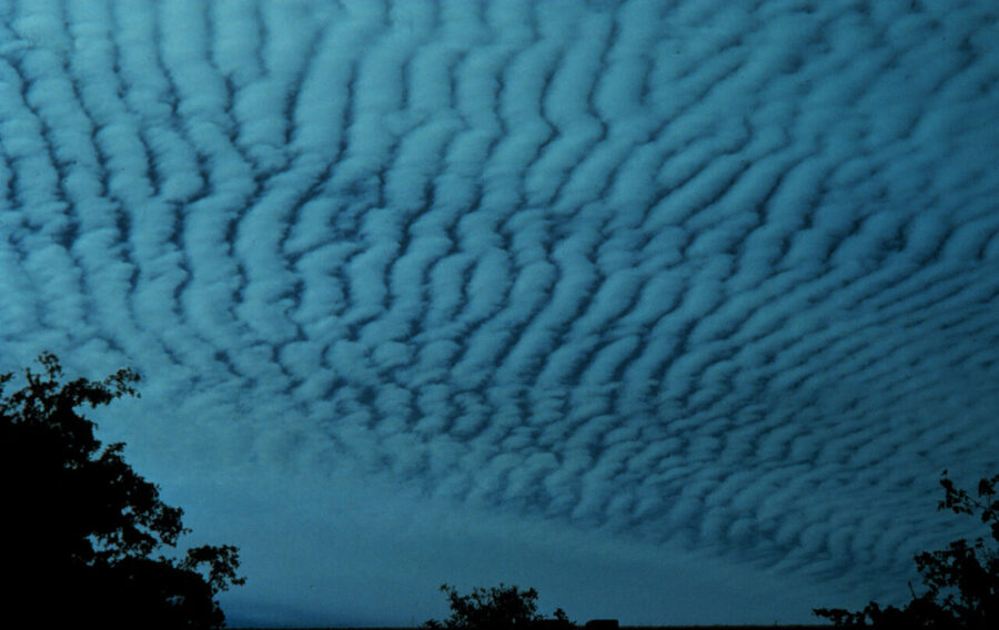 Altocumulus: mid-level heaped patches